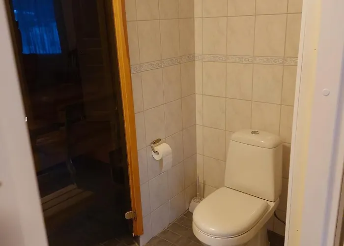 Mesijaeinen Pyhajarvi (Oulu)